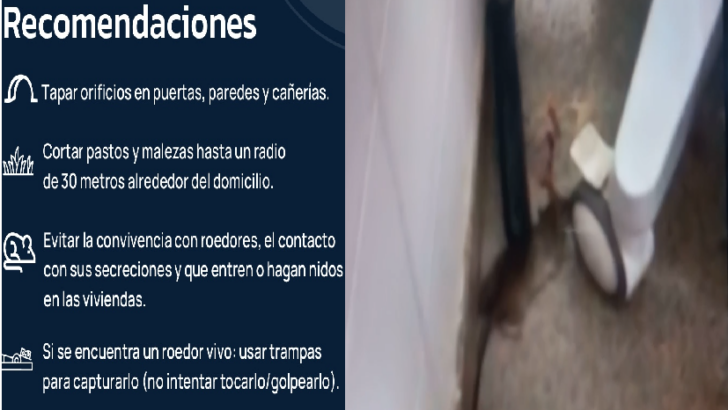 Imagen Noticia