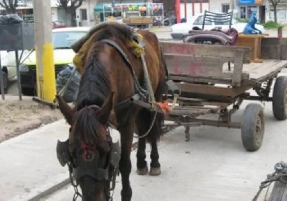 Imagen Noticia